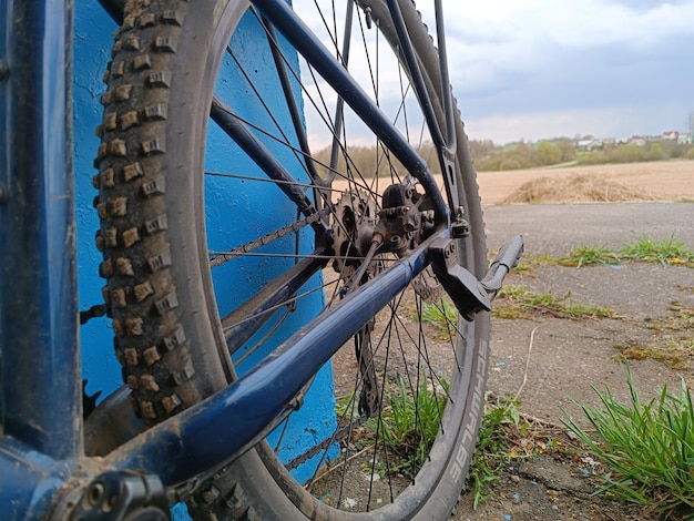 A bicycle wheel is leaning against a blue wall.