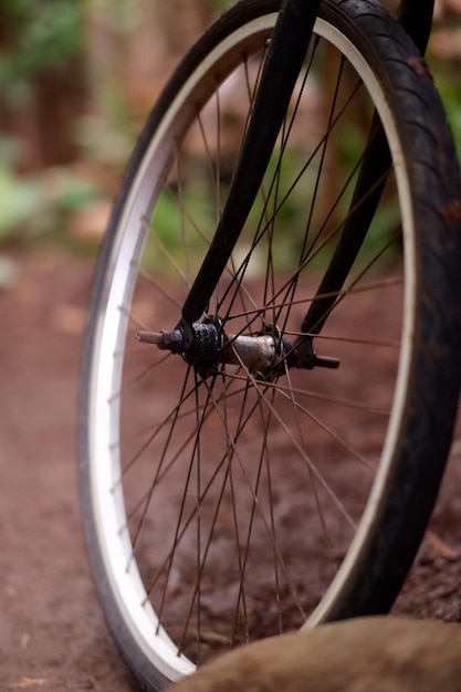 A bicycle wheel is shown with the word bike on it.