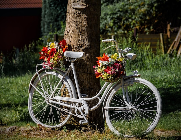 在公園的樹旁停放的單車和花束