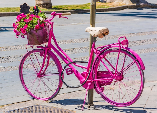 Foto bicicletta con petali di fiori rosa sul sentiero in città