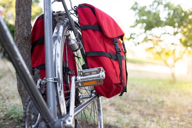 Bicycle with suitcases resting on a tree