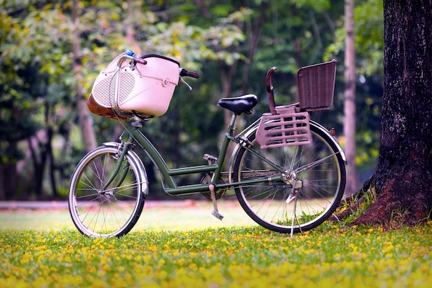 Foto biciclette nel cesto sul campo