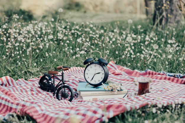 Foto biciclette sul campo