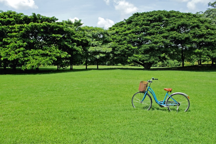 Photo 公園内の自転車