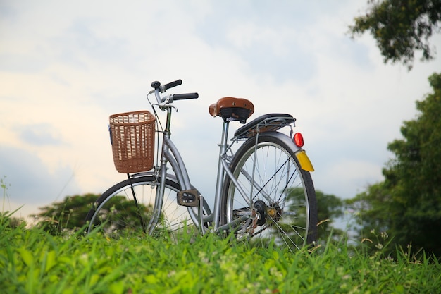 公園内の自転車