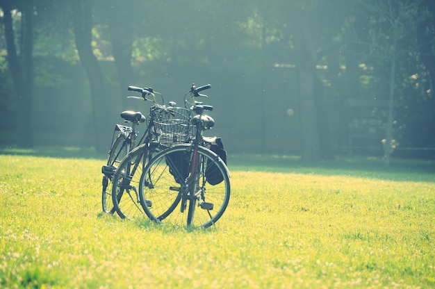 bicycles parked in park