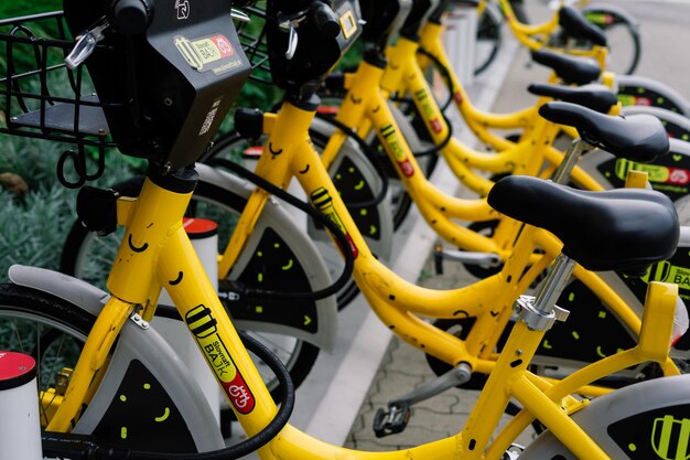 Bicycles parked in row at a rent a bike shop in a park. selective focus