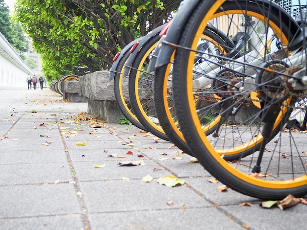 Photo bicycles parked on sidewalk