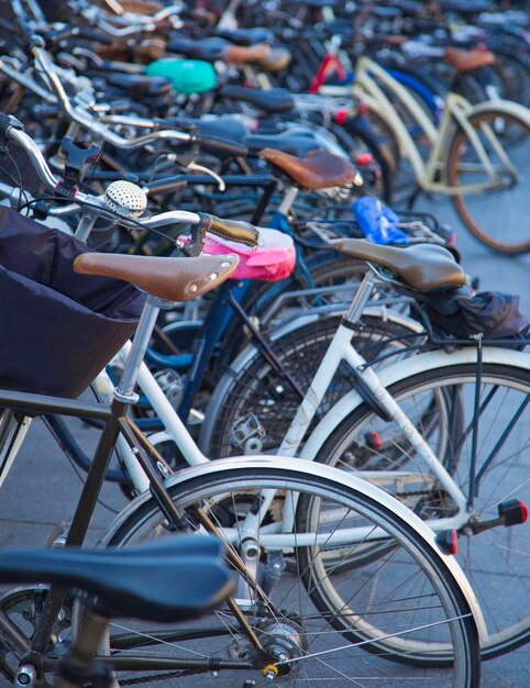 Bicycles parked on street