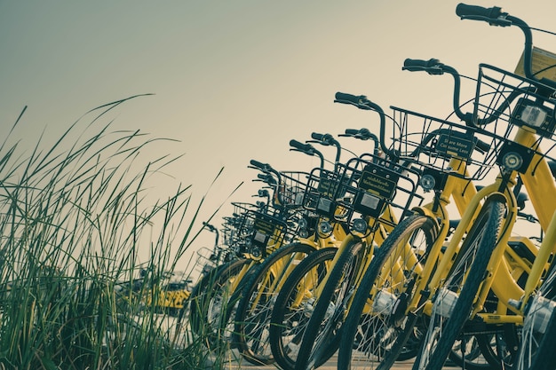 Bicycles parking in campus