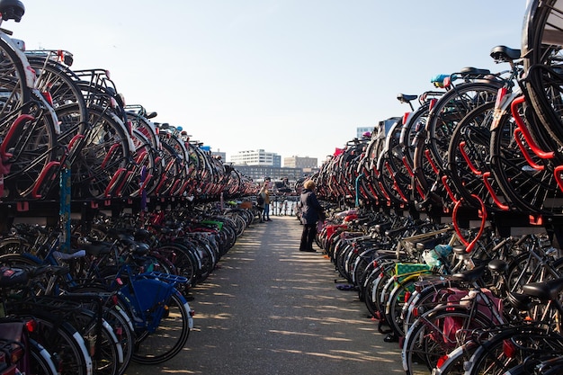 Bicycles on racks against clear sky