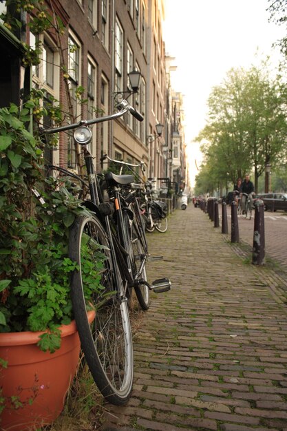 Photo bicycles on sidewalk in city