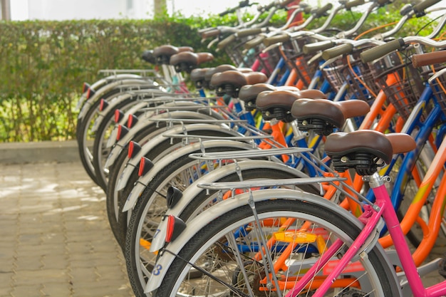 Photo bicycles that are lined up in rows in the bicycle park