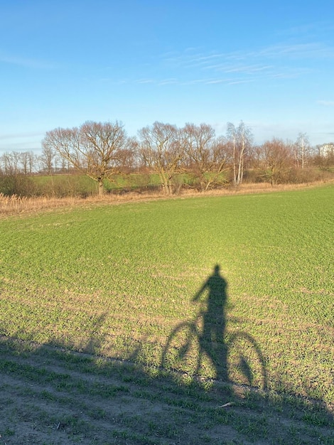 Bicyclist shadow on a green grass in the field