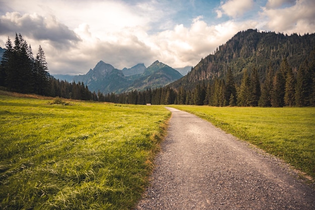 Bielovodska valley in High Tatras mountains Slovakia Slovakia landscape