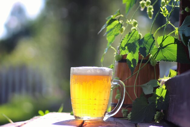 Bierglas houten hop buiten