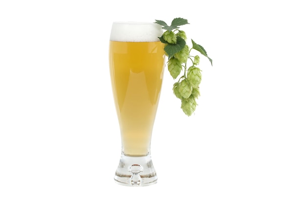 Foto bierglas met branche hop kegels geïsoleerd op witte achtergrond bier brouwing ingrediënten