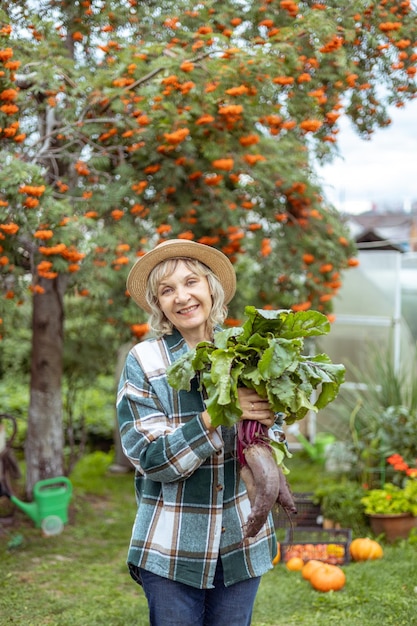 Bietenteelt Tuinman met bietenwortels