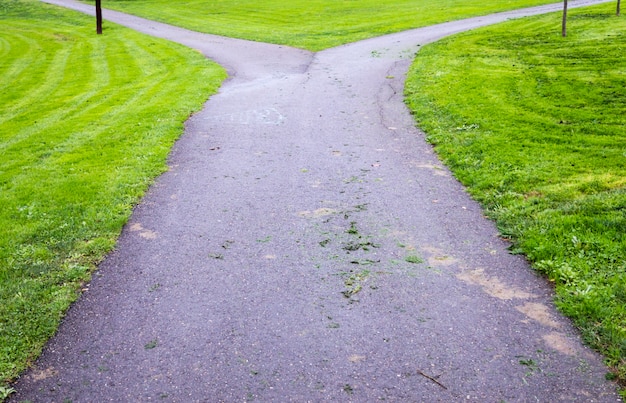 Photo bifurcation in a park path