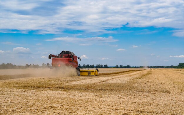 Big agricultural farming combine. Huge red farming machine working in the field.