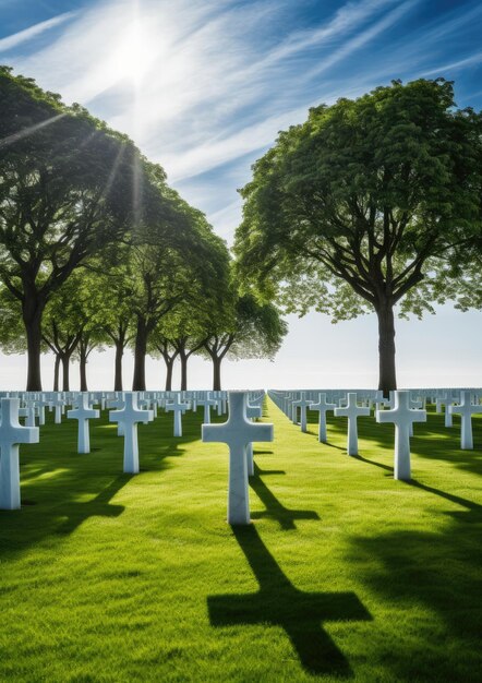 완벽한 초록색 잔디가 있는 큰 미국 군사 묘지