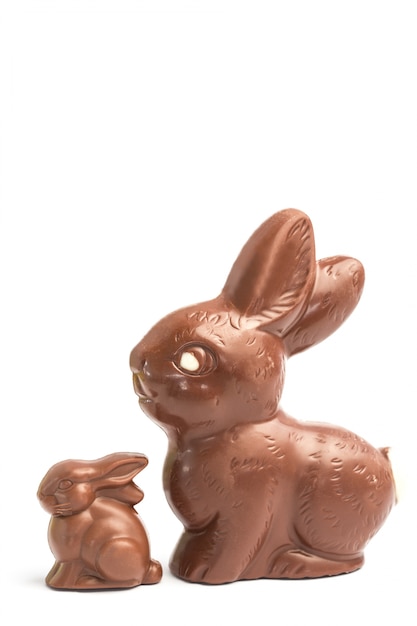 사진 크고 작은 초콜릿 토끼