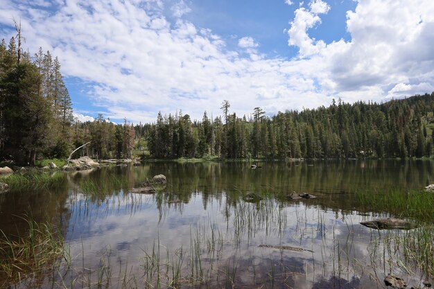 Photo big bear lake at eureka plumas forest california