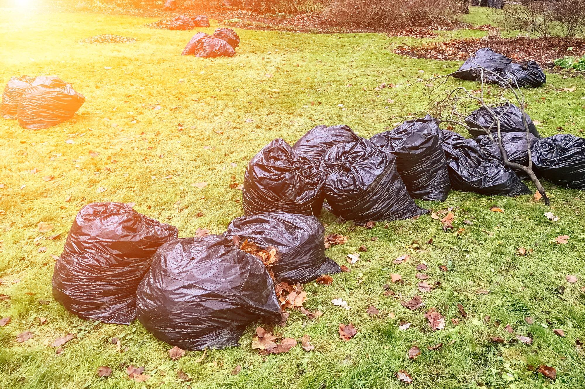 https://img.freepik.com/premium-photo/big-black-garbage-bags-green-grass_175356-3315.jpg?w=2000