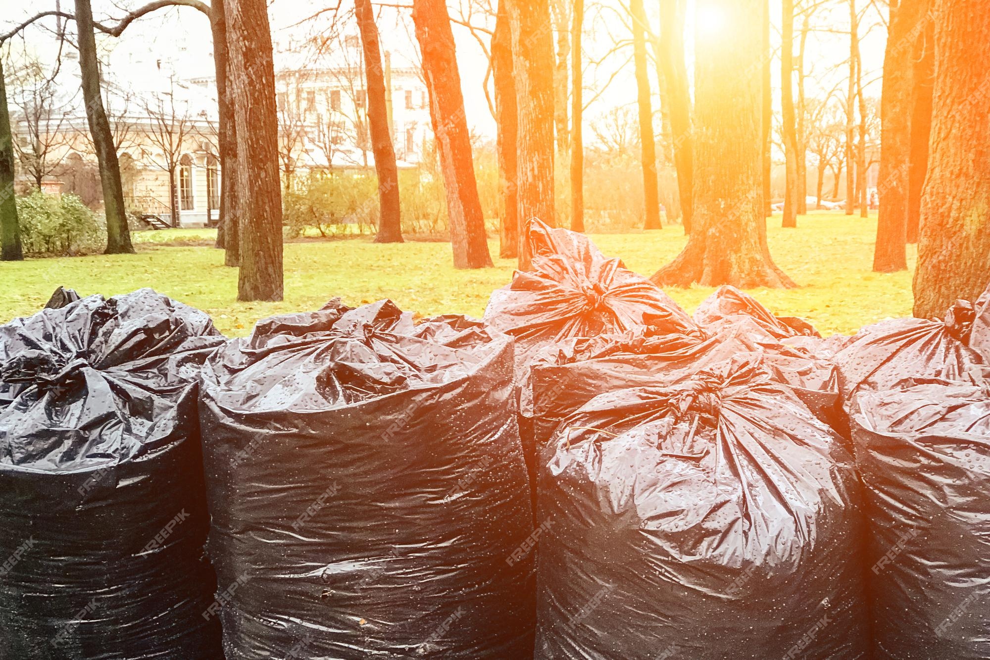 Premium Photo  Big black garbage bags on the green grass.