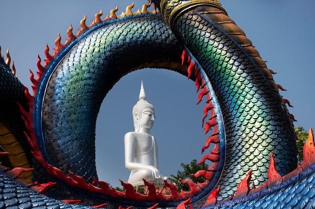 Big blue Naka and white buddha statue in Wat Roi Phra Phutthabat Phu Manorom for thai people and foreigner travelers travel visit and respect praying at Mukdahan National Park in Mukdahan Thailand