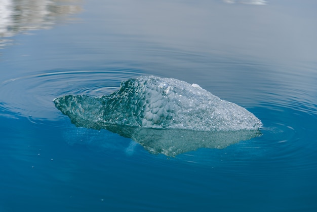 북극 바다에서 얼음의 큰 파란 조각