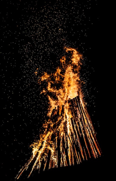 Big bonfire at night. Fire flames on black background