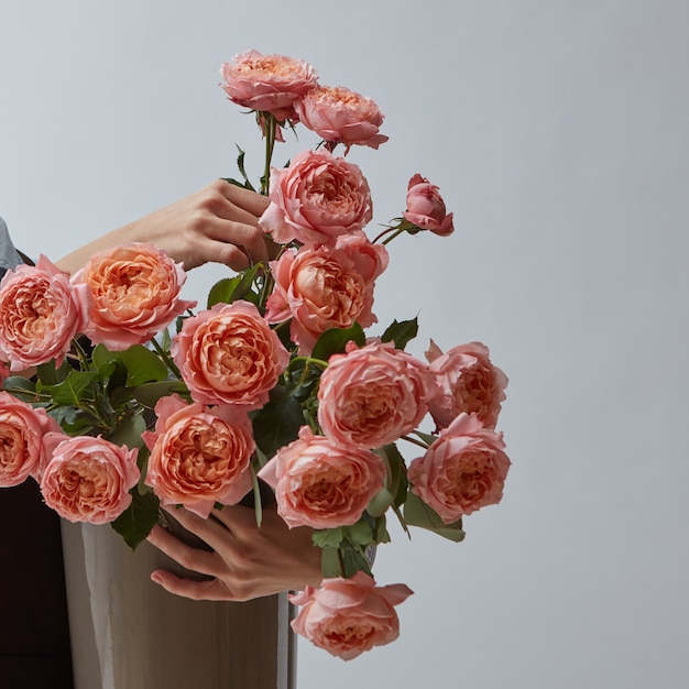 A big bright bouquet of pink roses in a vase is held by womens hands on a gray background with a