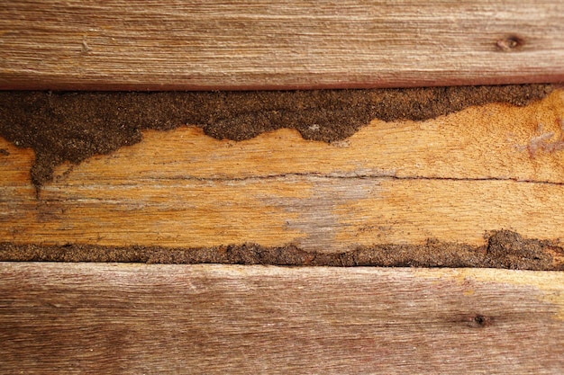 Big Brown wood plank wall texture background texture old wood