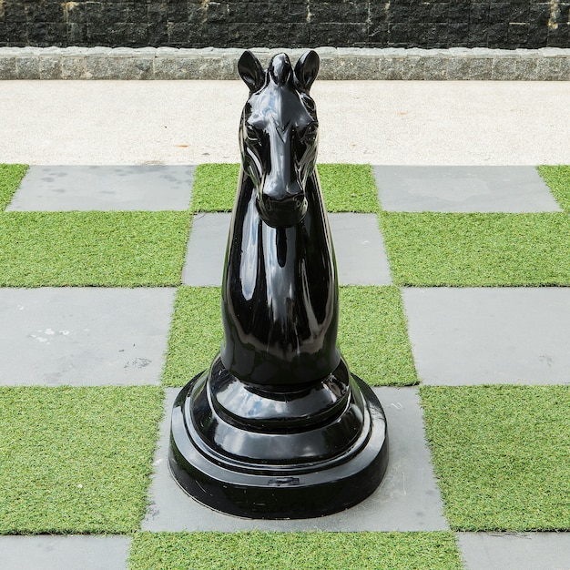 Фото Большая шахматная доска - большие лошадиные шахматы