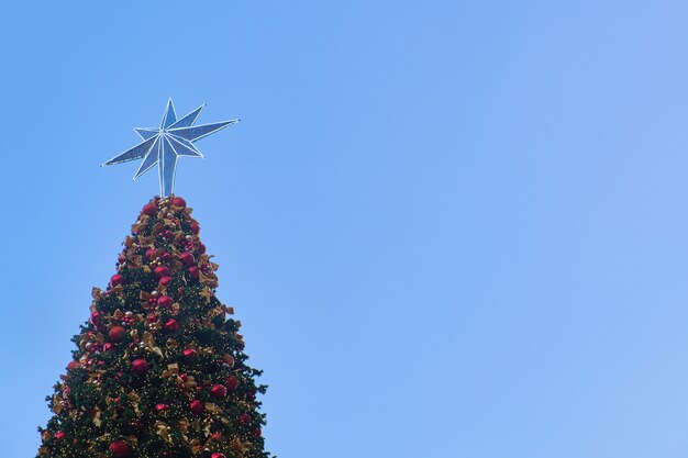 星の装飾が施された大きなクリスマスツリー