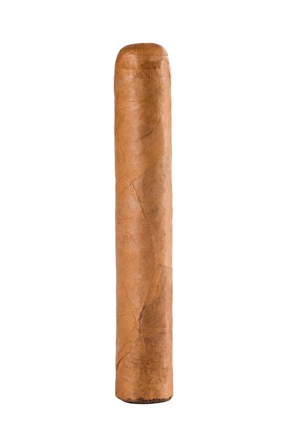 The big cigar isolated on a white background