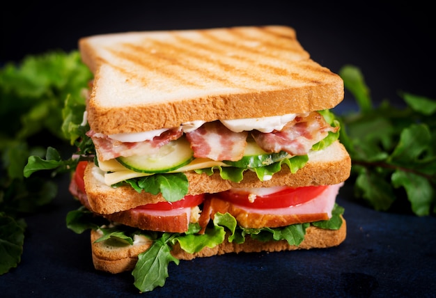 Big Club sandwich with ham, bacon, tomato, cucumber, cheese, eggs and herbs on dark table