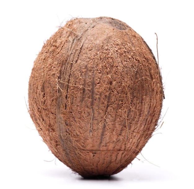 Big coconut isolated on a white background