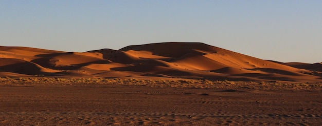 Big desert dune at sunset