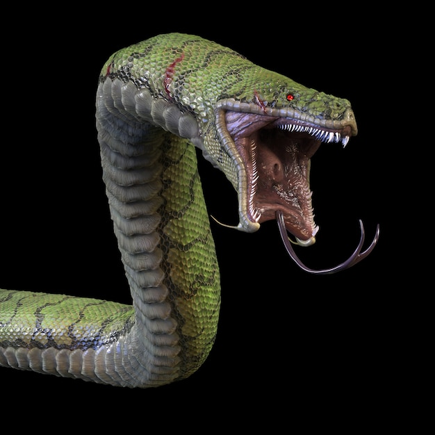 Snake | 3D model