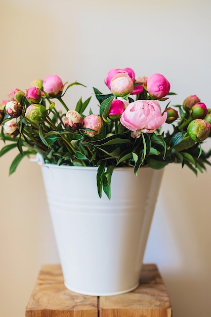 Big fresh pink and white peony blooming bouquet in a white metal bucket on a wooden table in a light bright modern beautiful apartment Spring home decor or present idea Vivid summer colors