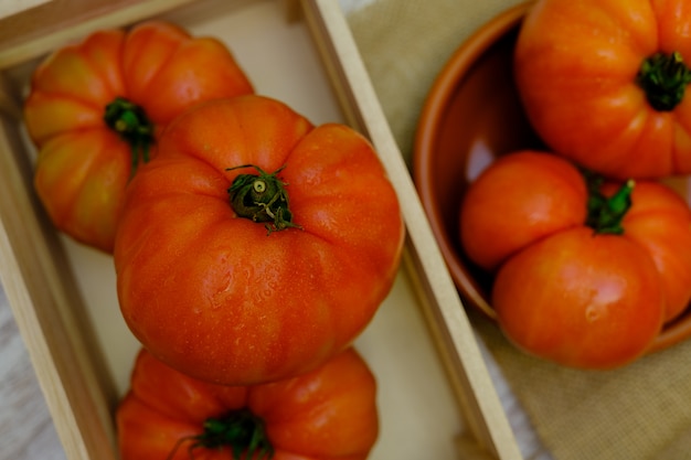 Foto pomodori grandi e freschi