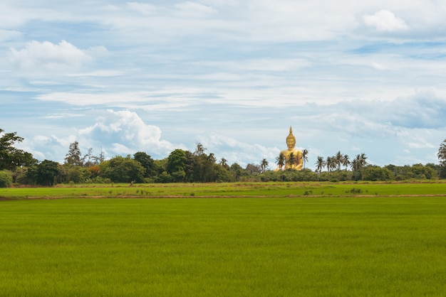 Big Golden Buddha statue at Wat Muang Temple  angthong province