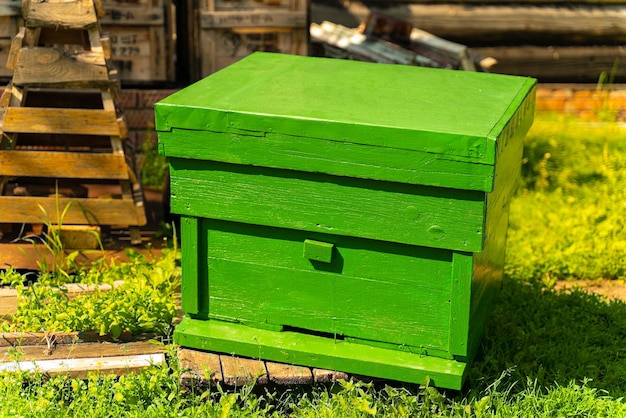 The big green bee hive