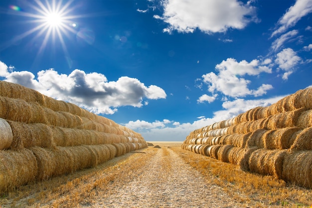 Big haystack at field