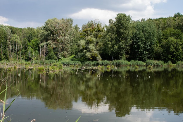 Grande lago nel verde della foresta