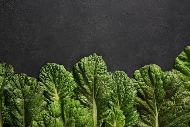 Big leaves of japanese mustard mizuna on a dark background in the down closeup top view copy space