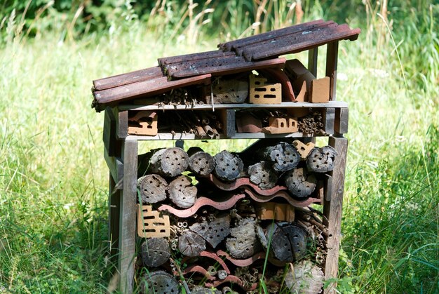 Big mosquito hotel or anthill in the woods made by human