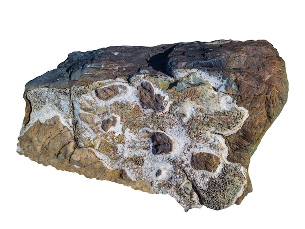 大きな自然石の岩石は白い背景に隔離されています テンプレートの背景に美しい質感があります